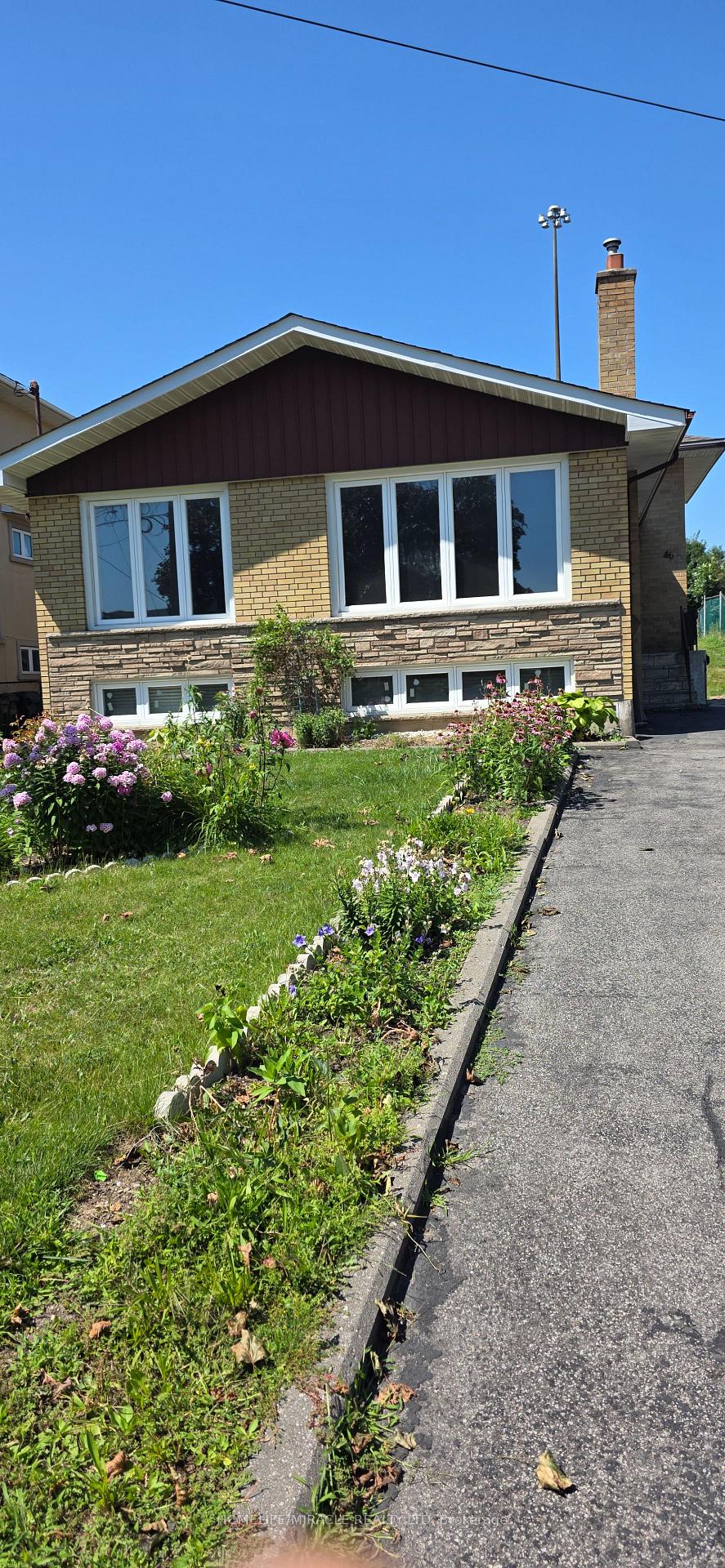 Basement - 46 Cavehill Crescent Toronto Ontario Canada Rent residential Ajit Pandit HomeLife/Miracle Realty Ltd., Brokerage *