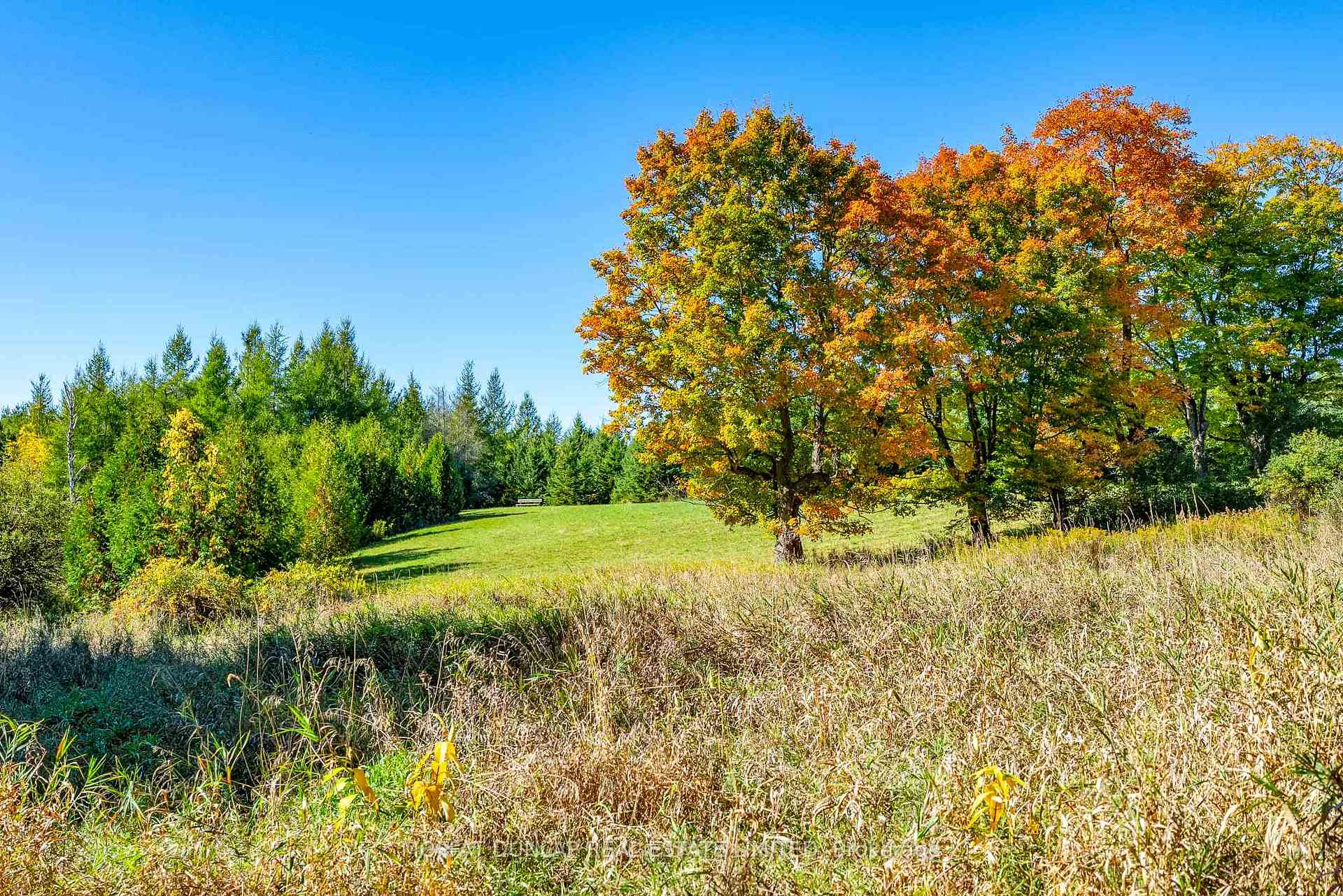 15910 South Lot of 15910 Mississ Caledon Ontario Canada Sale residential Bobby Dhaliwal Century 21 Peoples Choice Realty Inc., Brokerage *