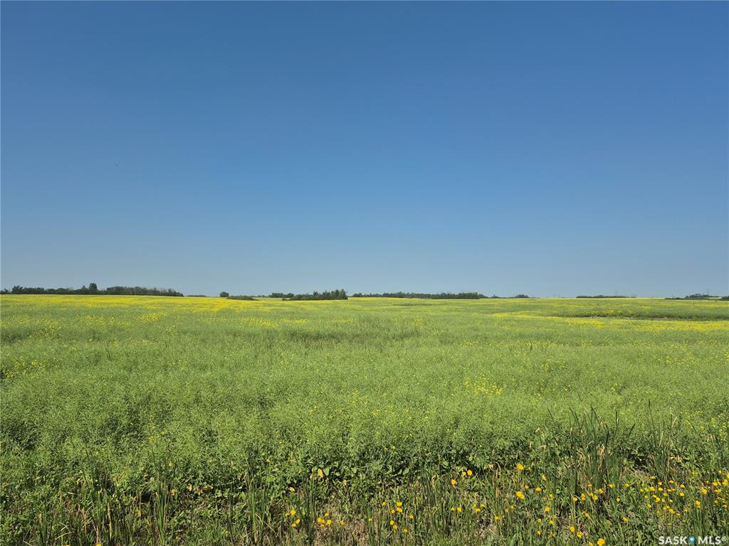 Rural Address  Corman Park Rm No. 344 Saskatchewan Canada Sale residential Troy Walkington Realty Executives Saskatoon