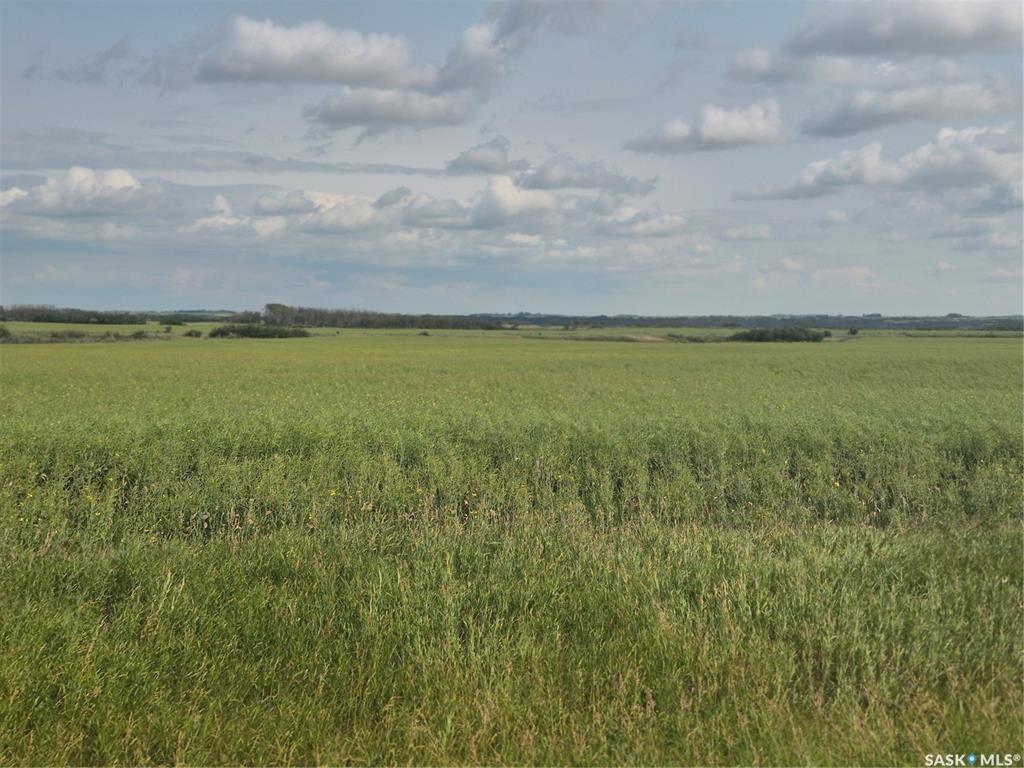  Rural Address  Blaine Lake Rm No. 434 Saskatchewan Canada Sale residential Troy Walkington Realty Executives Saskatoon