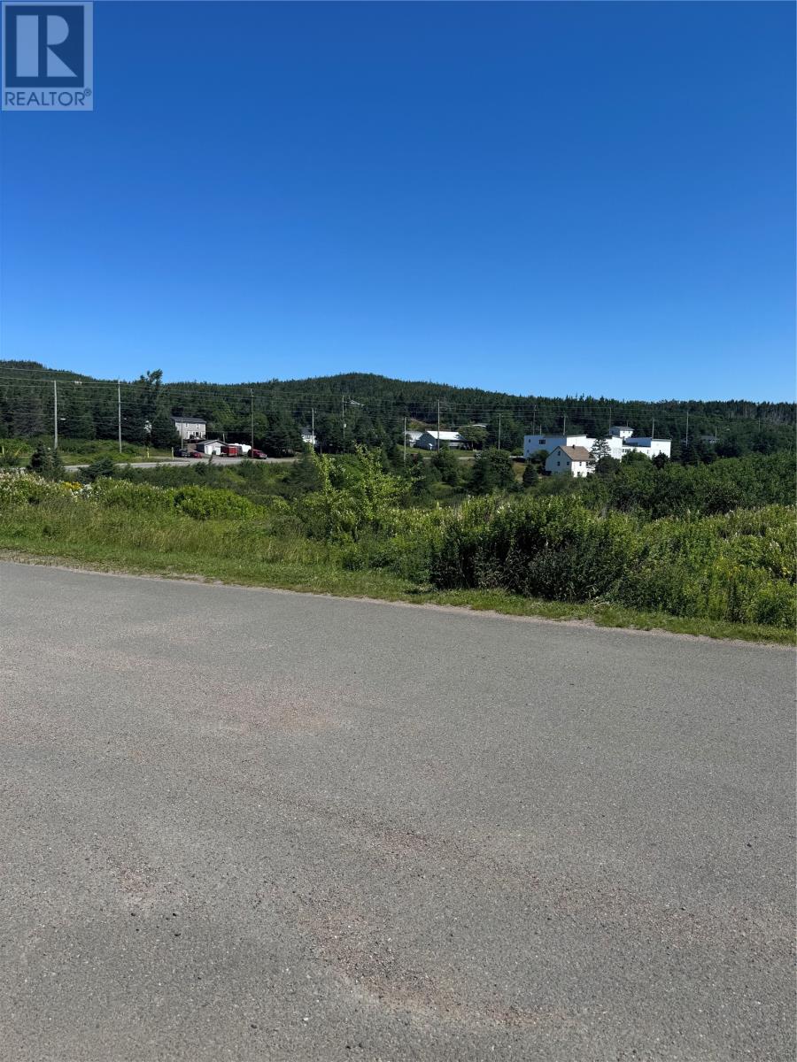 3-7 Playground Loop Road Lewin'S Cove Newfoundland And Labrador Canada Sale residential Genna Hickey 3% Realty East Coast, Brokerage*