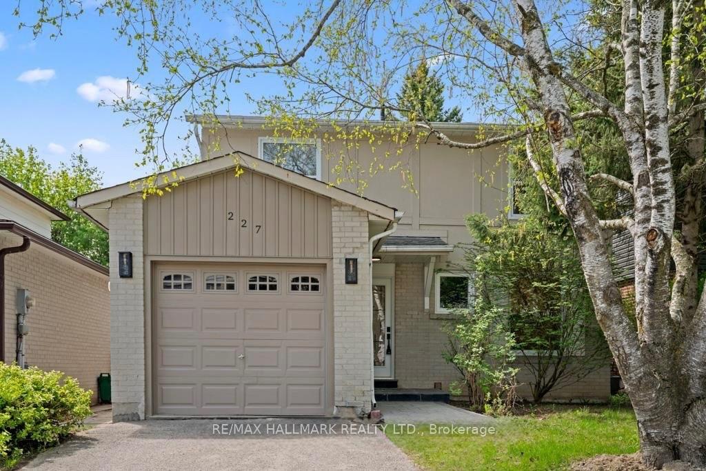 227-BASEMENT Thoms Crescent Newmarket Ontario Canada Rent residential Betty Peng Better Practice Realty Inc., Brokerage