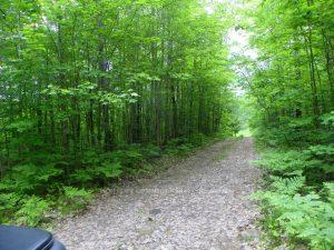 50 Acres in Muskoka North of Bal Muskoka Lakes Ontario Canada Sale residential   HomeLife Optimum Realty Brokerage