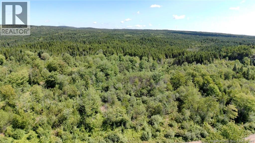 Old Gardner Creek Road Rowley New Brunswick Canada Sale residential Judy Mitchell RE/MAX PROFESSIONALS SAINT JOHN INC.