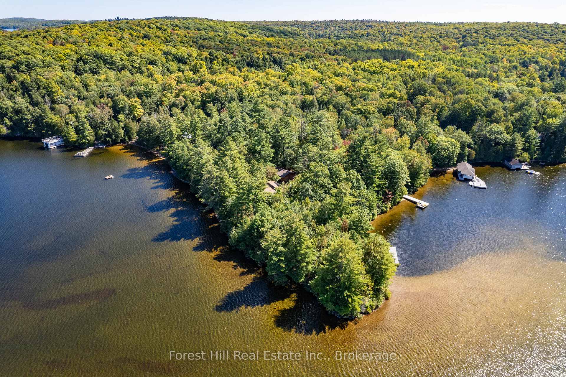 2 - 2991 Muskoka Rd 117 Road Lake of Bays Ontario Canada Sale residential Marc Thibodeau Forest Hill Real Estate Inc., Brokerage*