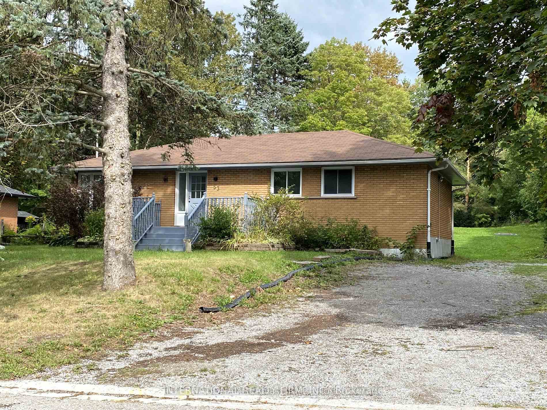 Bsmt - 53 Belfry Drive Newmarket Ontario Canada Rent residential Helen Zeray International Realty Firm, Inc., Brokerage*