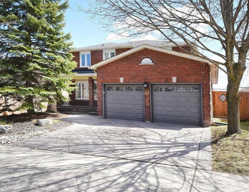 LOWER - 42 Lensmith Drive Aurora Ontario Canada Rent residential Ray Adelson HomeLife/Cimerman Real Estate Ltd., Brokerage*