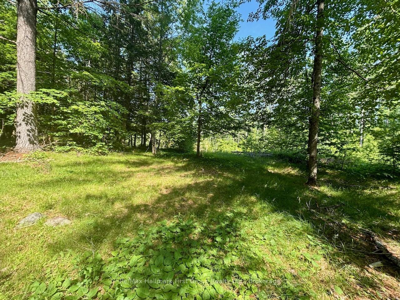 2495 Flinton Road Addington Highlands Ontario Canada Sale residential Shawna Trudeau RE/MAX HALLMARK FIRST GROUP REALTY LTD. Brokerage*