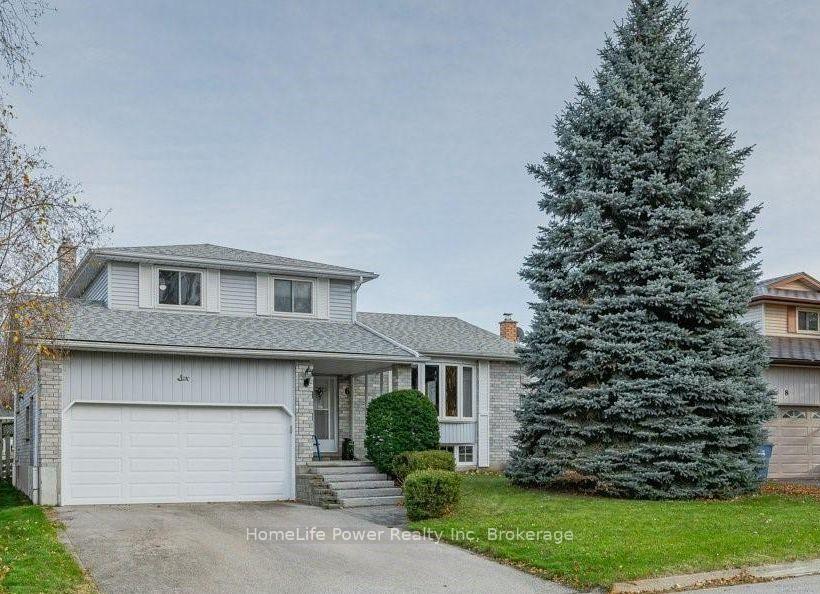 Basement - 6 Hollyberry Place Guelph Ontario Canada Rent residential   HomeLife Power Realty Inc., Brokerage*