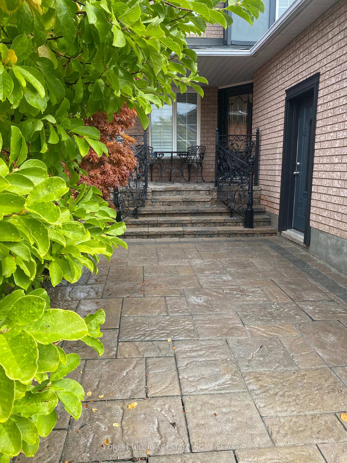 bsmt - 5663 Whitehorn Avenue Mississauga Ontario Canada Rent residential Alex Alexandrov Forest Hill Real Estate Inc. Brokerage*