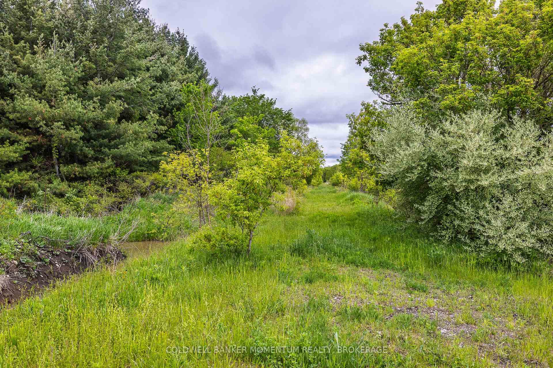 1969 Hutchinson Road Haldimand Ontario Canada Sale residential   Coldwell Banker Momentum Realty, Brokerage