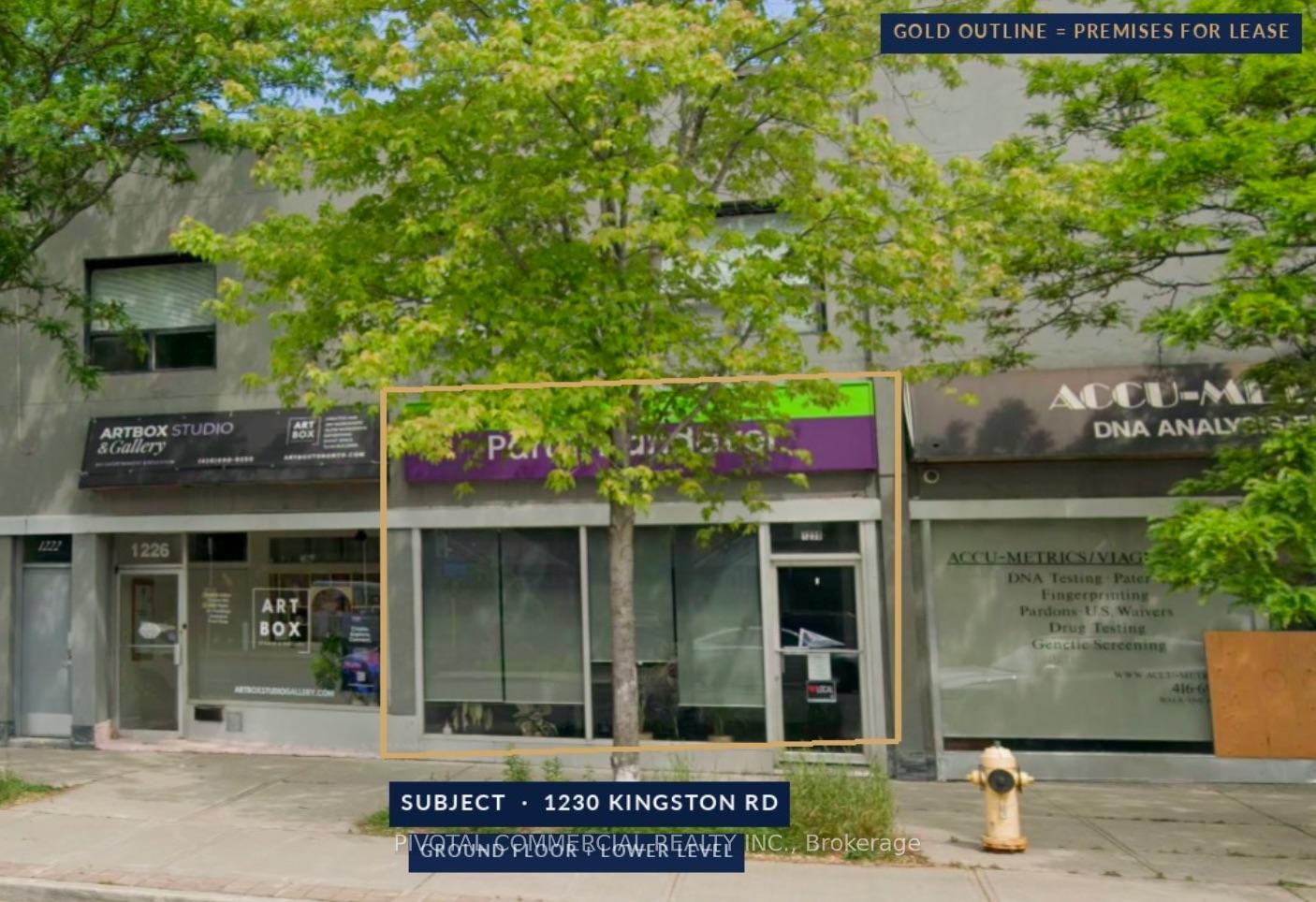 100 - 1230 Kingston Road Toronto Ontario Canada Lease commercial Scarborough Homes and Condos Real Estate Homeward, Brokerage*