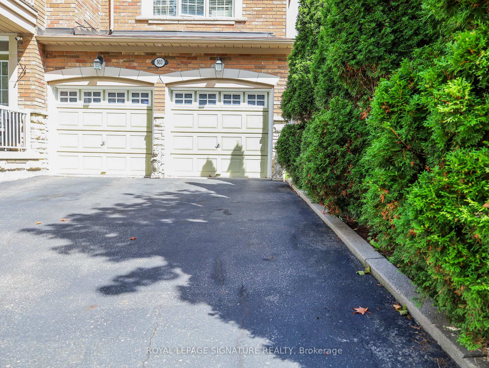 Basement - 503 Thornhill Woods Drive Vaughan Ontario Canada Rent residential AIDEN RAD Royal LePage Signature Realty, Brokerage *