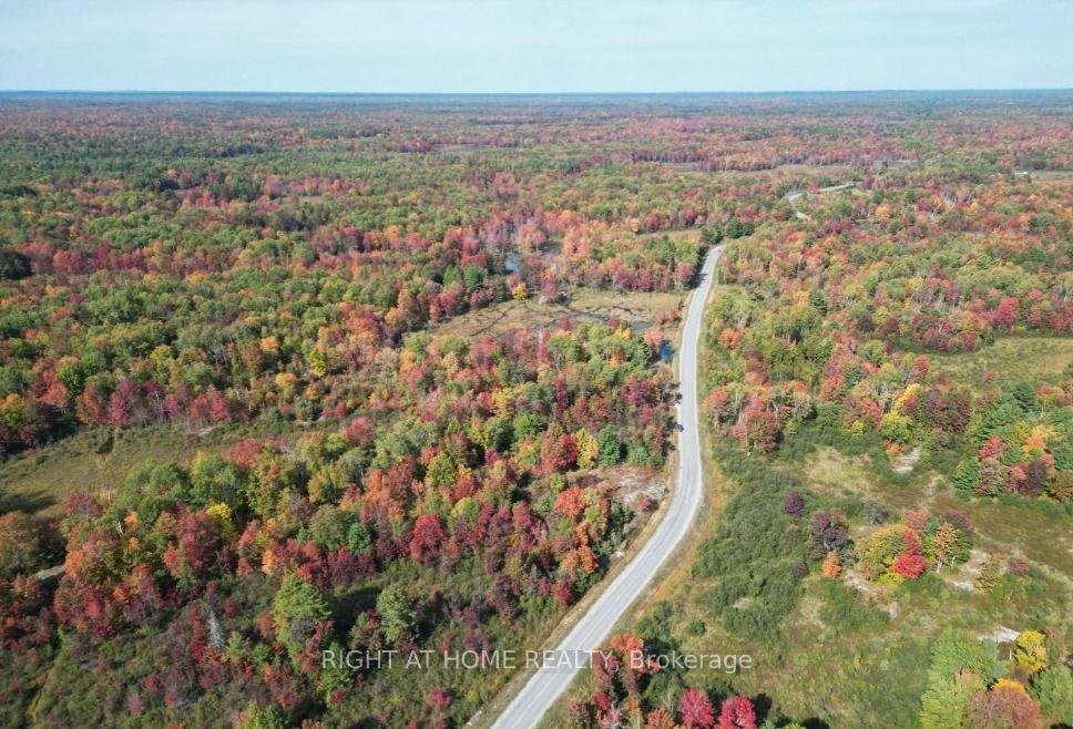 1071 Flinton Road Tweed Ontario Canada Sale residential Dee Paul Right at Home Realty, Brokerage*