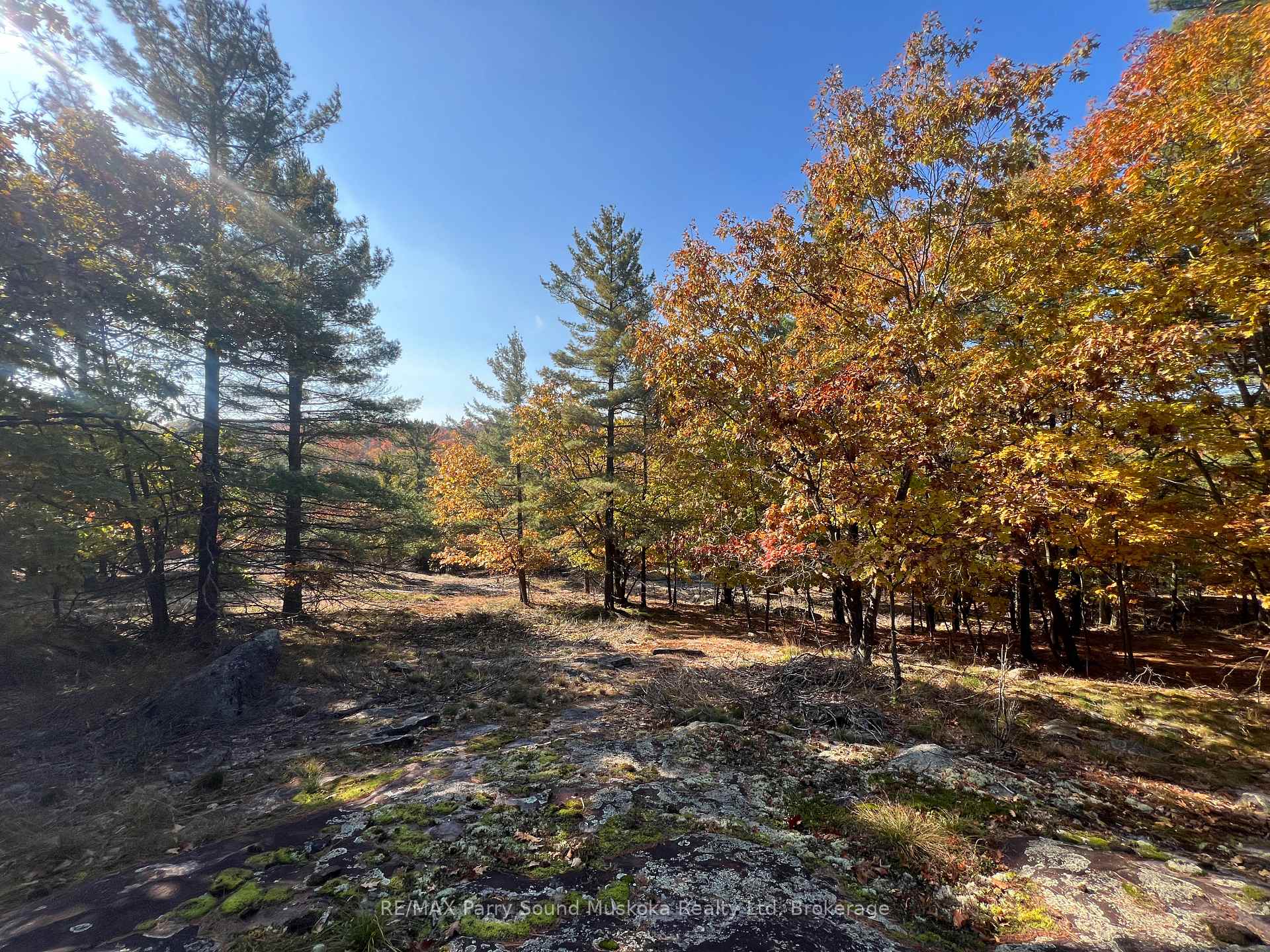 13 Ridgeway Drive Carling Ontario Canada Sale residential Gary Phillips RE/MAX PARRY SOUND MUSKOKA REALTY LTD., BROKERAGE*