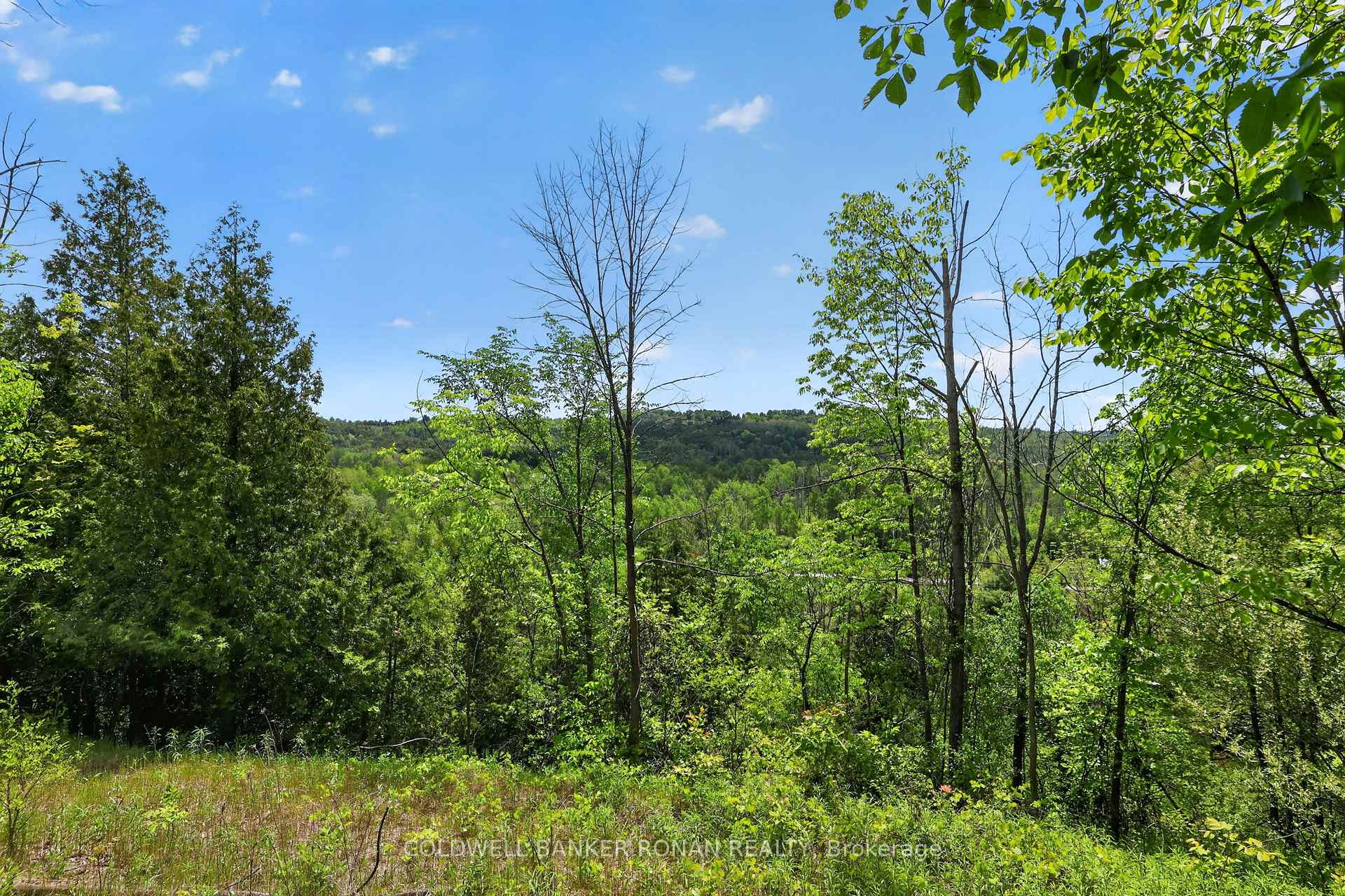 2946 Concession Rd 3 Adjala-Tosorontio Ontario Canada Sale residential Melanie Martyn Right at Home Realty, Brokerage*