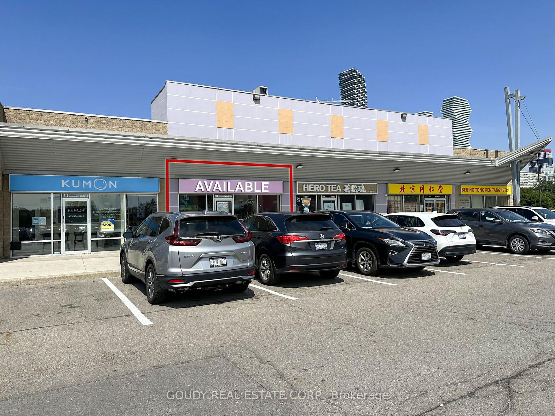 211 - 719 Central Parkway W Mississauga Ontario Canada Lease commercial   City-Pro Realty Inc. Brokerage