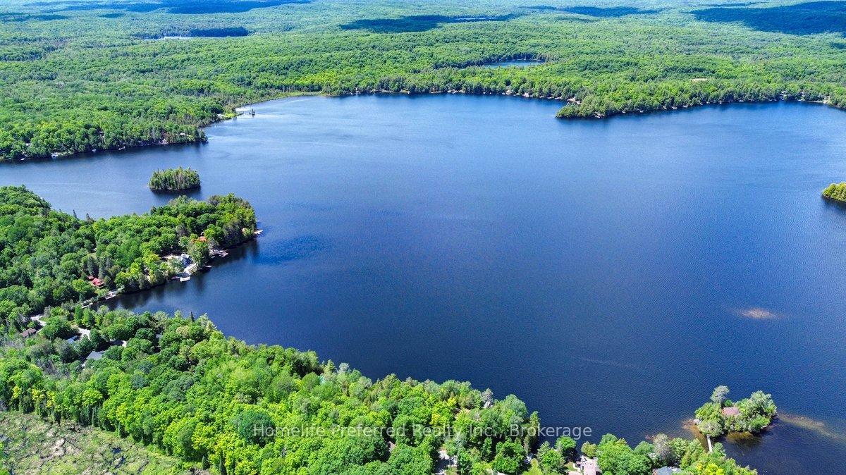 1234 Upper Paudash Lake Road Highlands East Ontario Canada Sale residential   HomeLife Preferred Realty Inc., Brokerage*