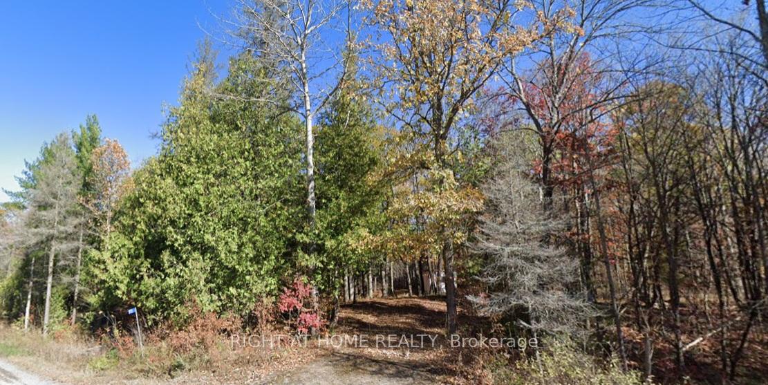 93 McCleary Road Marmora And Lake Ontario Canada Sale residential Lynne Kranidis Right at Home Realty, Brokerage*