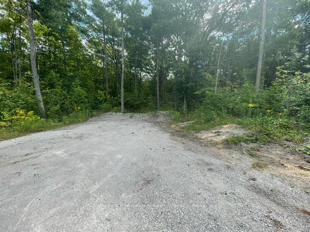 7859 Pineridge Road Ramara Ontario Canada Sale residential Becky Spencer Keller Williams Experience Realty, Brokerage*