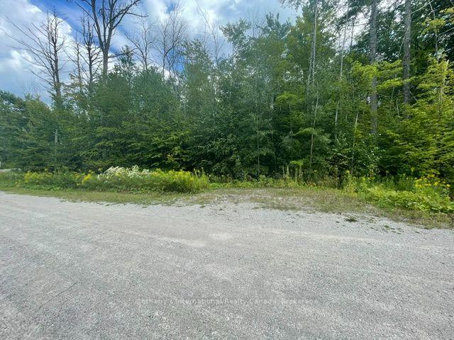 7865 Pineridge Road Ramara Ontario Canada Sale residential Becky Spencer Keller Williams Experience Realty, Brokerage*