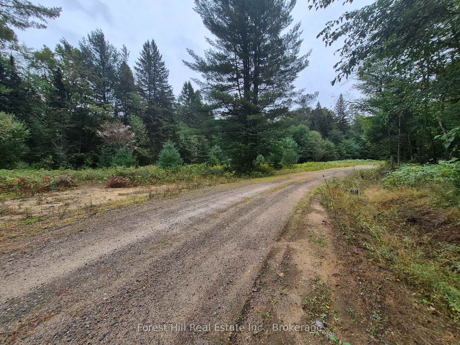 335 Woodland Drive Mcmurrich/Monteith Ontario Canada Sale residential Marc Thibodeau Forest Hill Real Estate Inc., Brokerage*