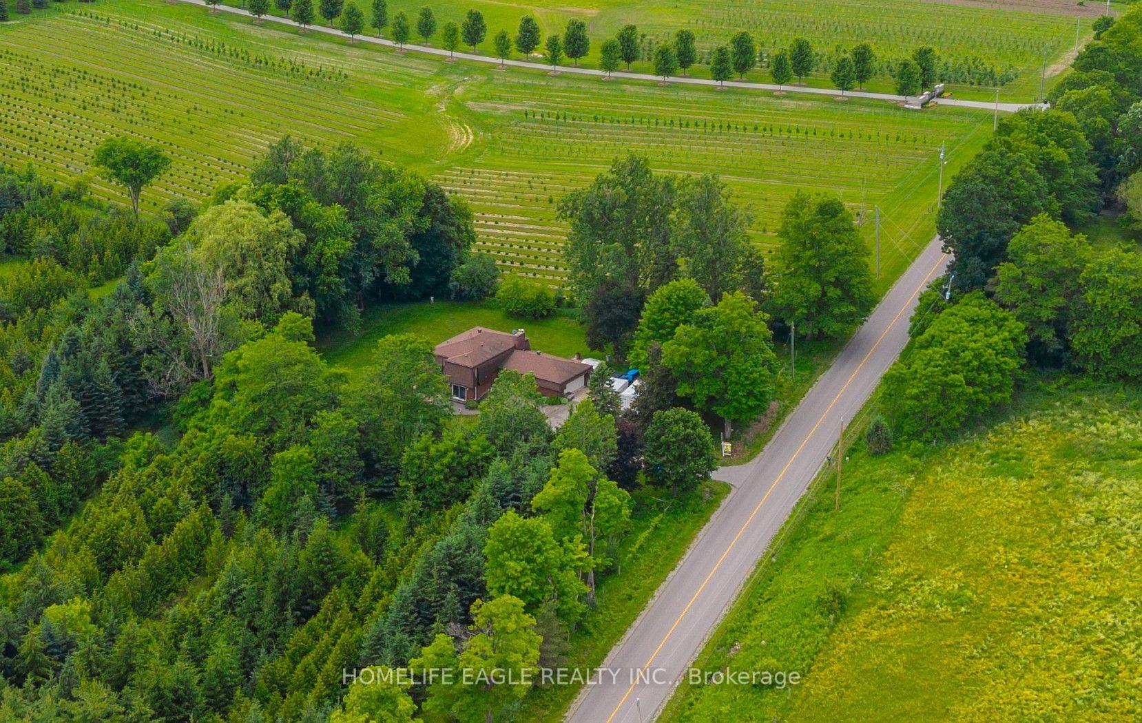 5803 3rd Line New Tecumseth Ontario Canada Sale residential   HomeLife Eagle Realty Inc, Brokerage *
