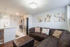Lower - 81 Erie Street, Toronto 2