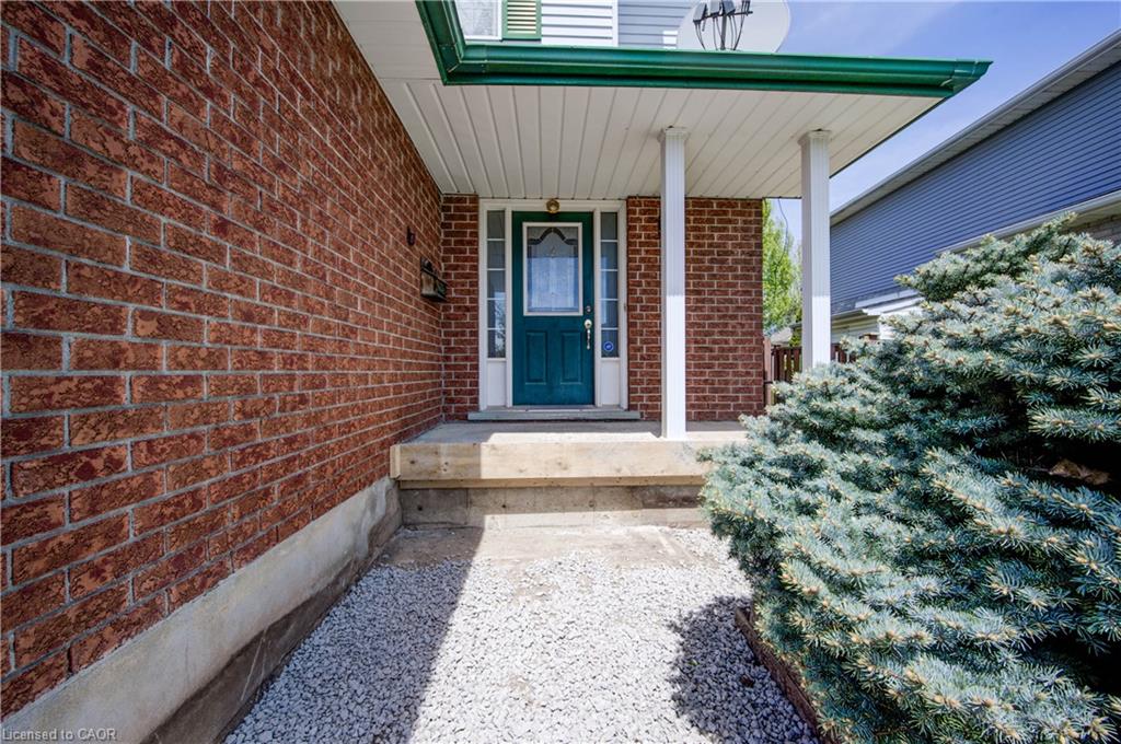 Lower - 388 Rittenhouse Road, Kitchener 3