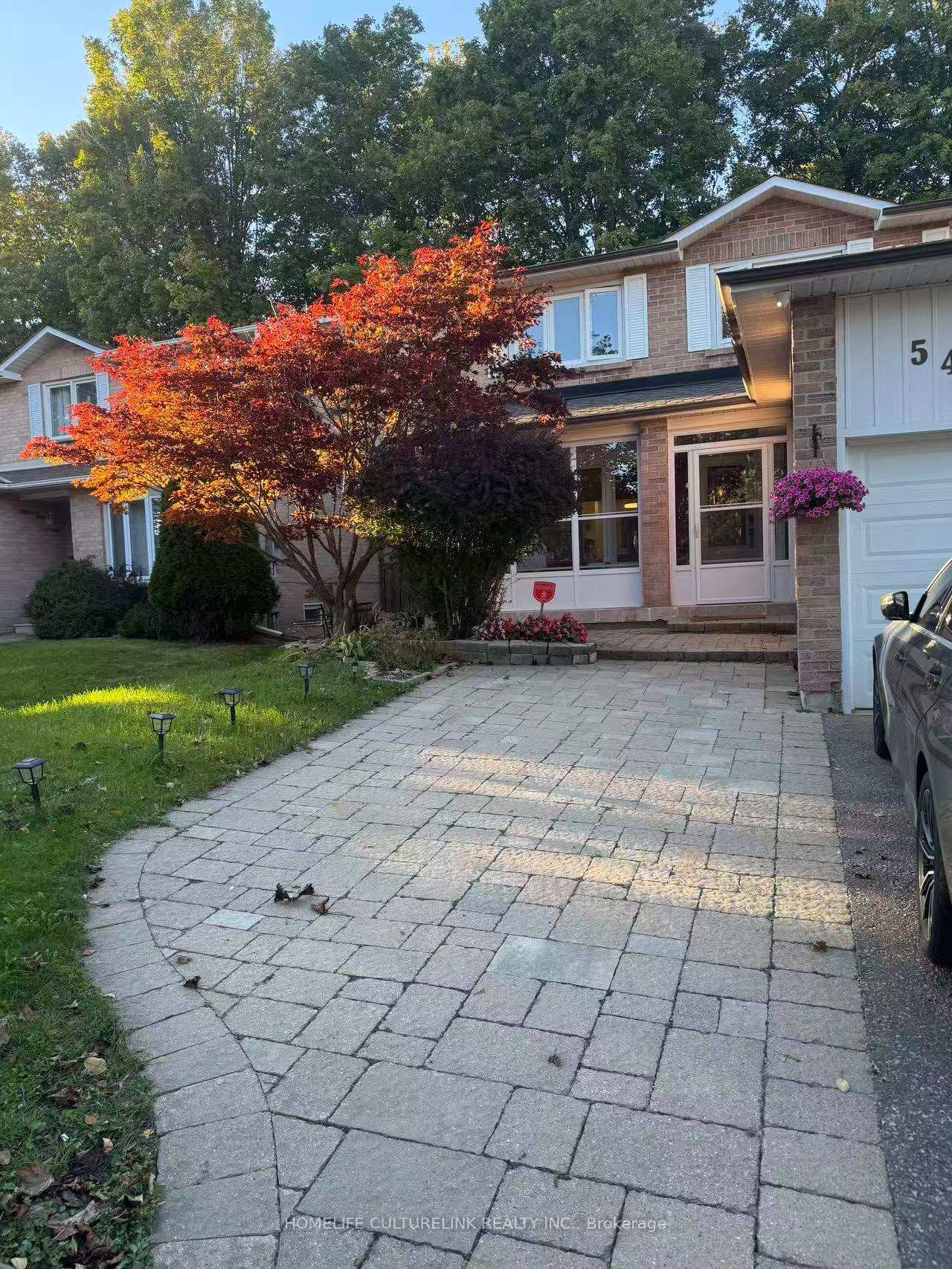 Bsmt - 547 Raymerville Drive, Markham 2