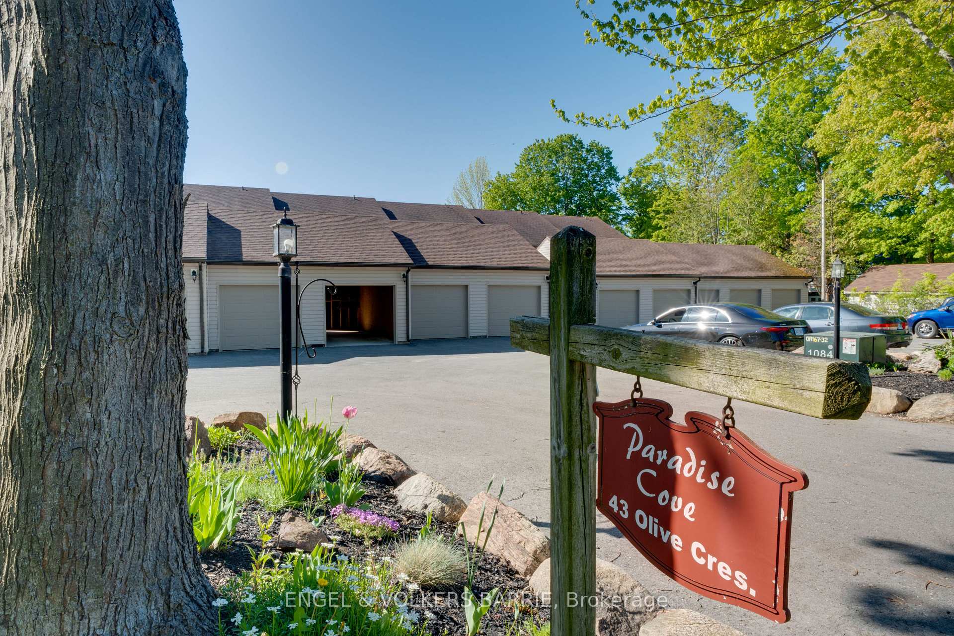 204 - 43 Olive Crescent, Orillia 5