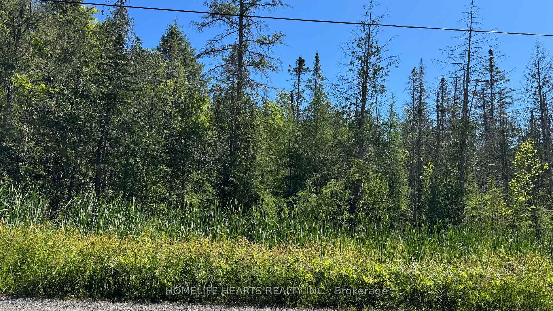 2801 Yearley Road Huntsville Ontario Canada Sale residential Danny Balkissoon HomeLife Hearts Realty Inc., Brokerage *