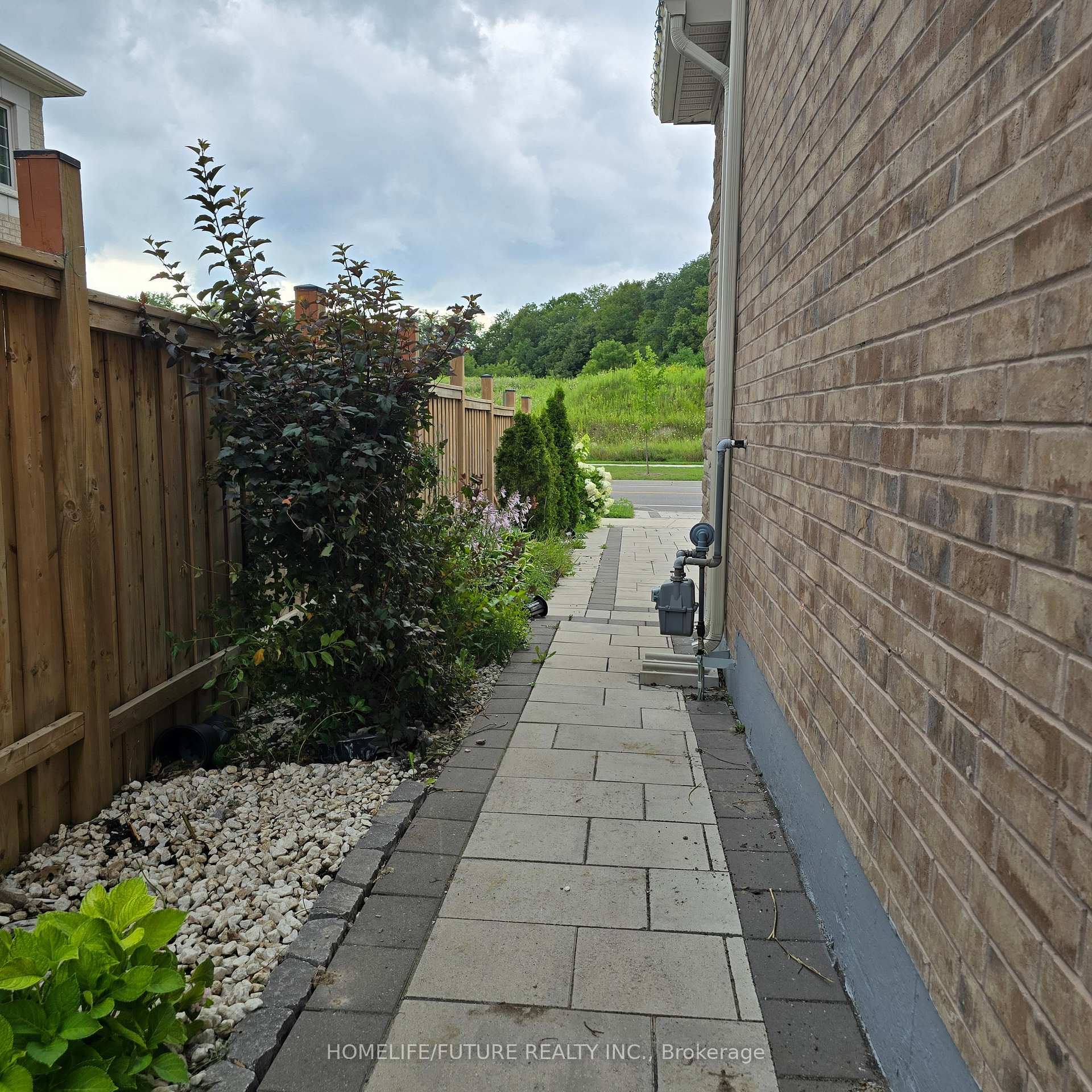 Bsmt - 396 Kirkham Drive, Markham 3