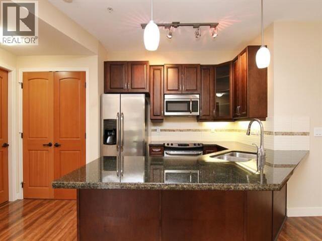 217 11935 BURNETT STREET, Maple Ridge 3