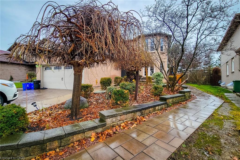 2 Lower - 102 Bonaparte Way, Hamilton 2