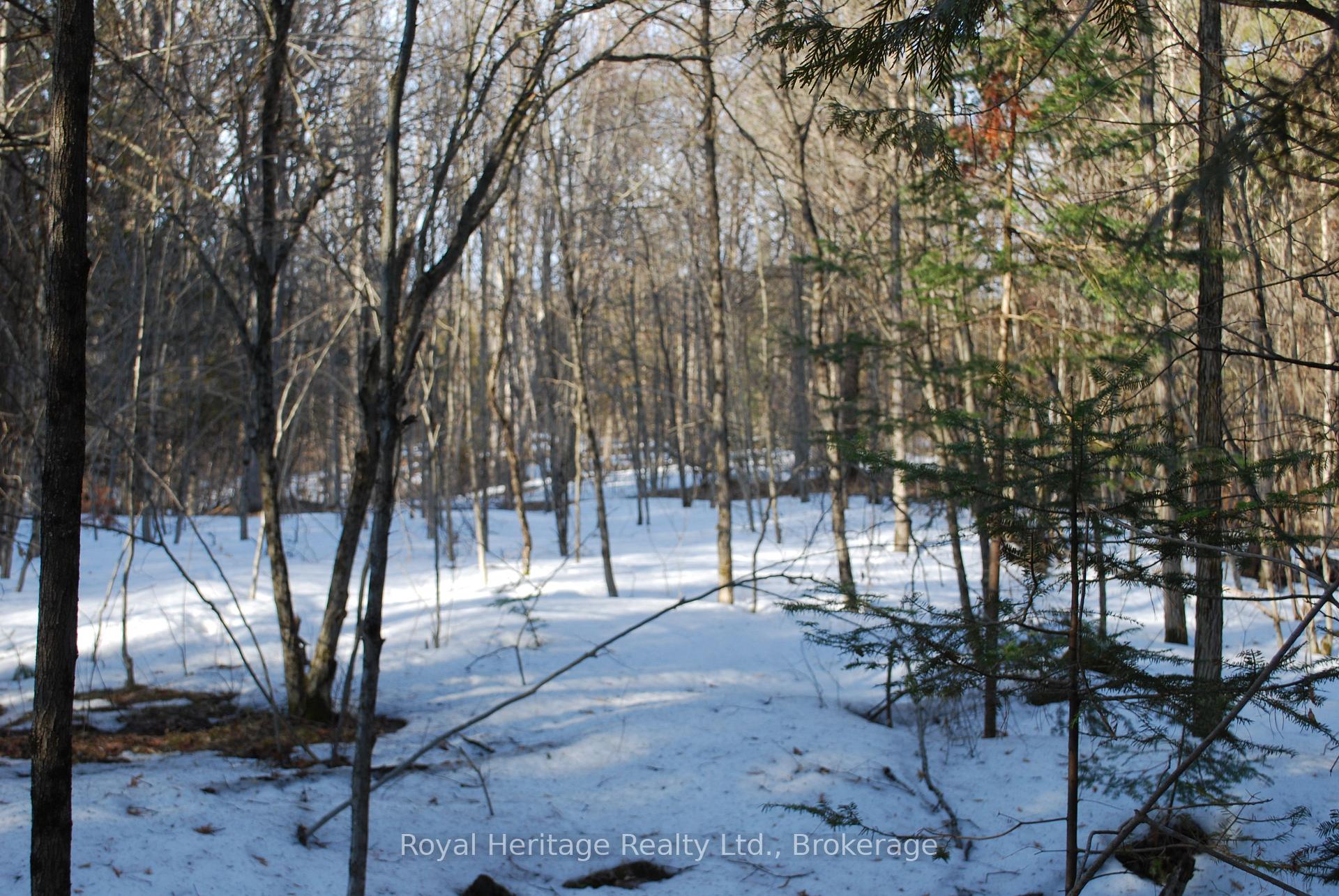 99 Future Lane Stirling-Rawdon Ontario Canada Sale residential Bruce Carnegie Royal Heritage Realty Ltd., Brokerage*