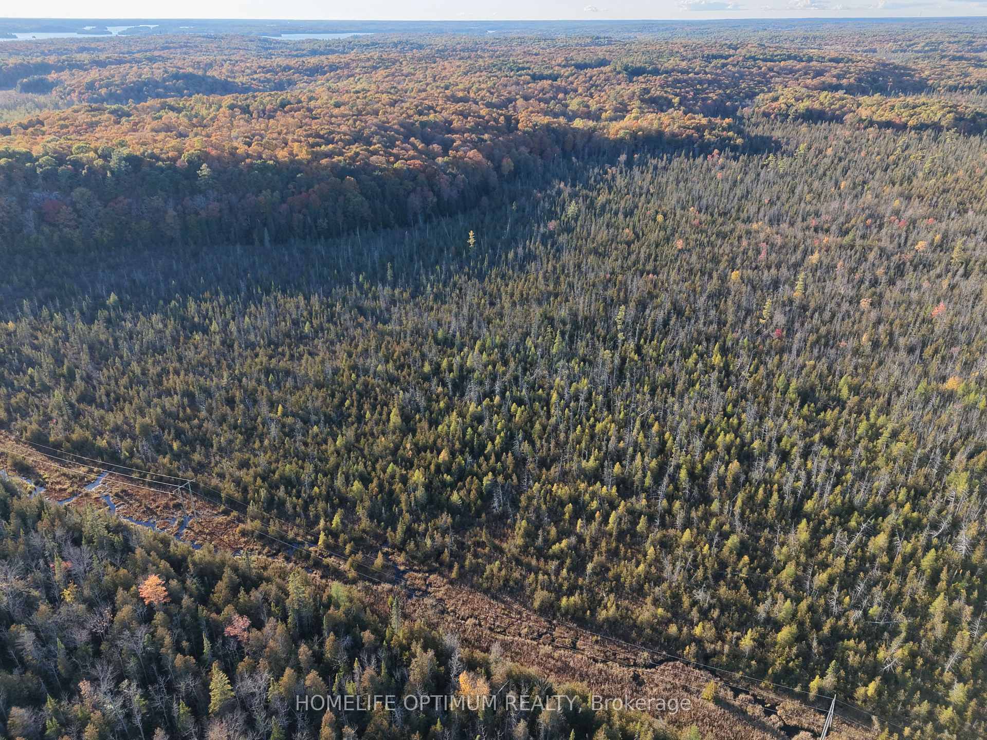 PCL 7717 & PCL 17235 LT 22 CON 3 Muskoka Lakes Ontario Canada Sale residential   HomeLife Optimum Realty Brokerage