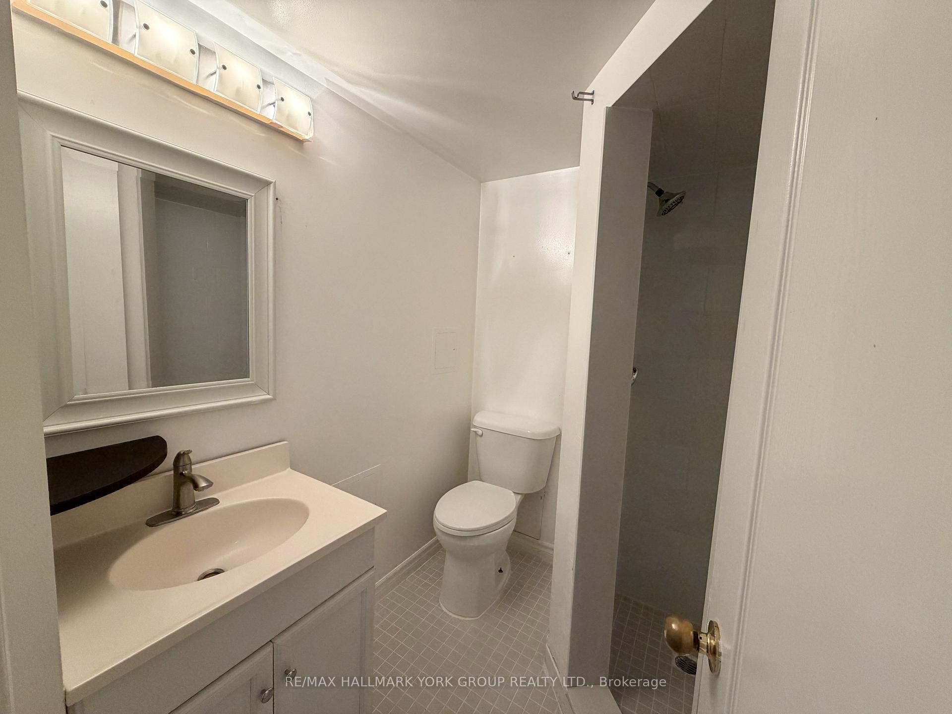 lower - 43 Walter Avenue, Newmarket 4