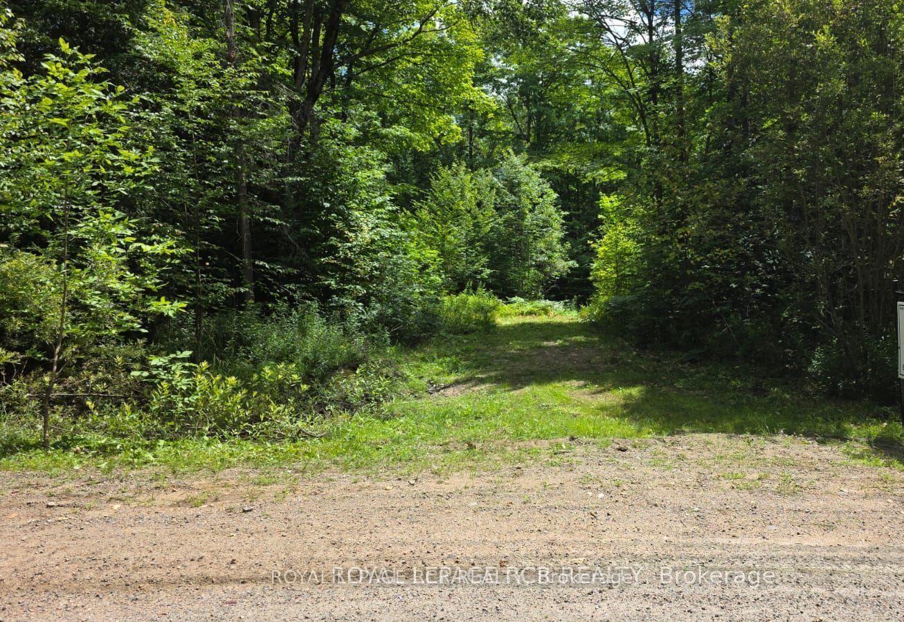 1414 Madill Road Highlands East Ontario Canada Sale residential Debbie Martin Royal LePage RCR Realty, Brokerage *