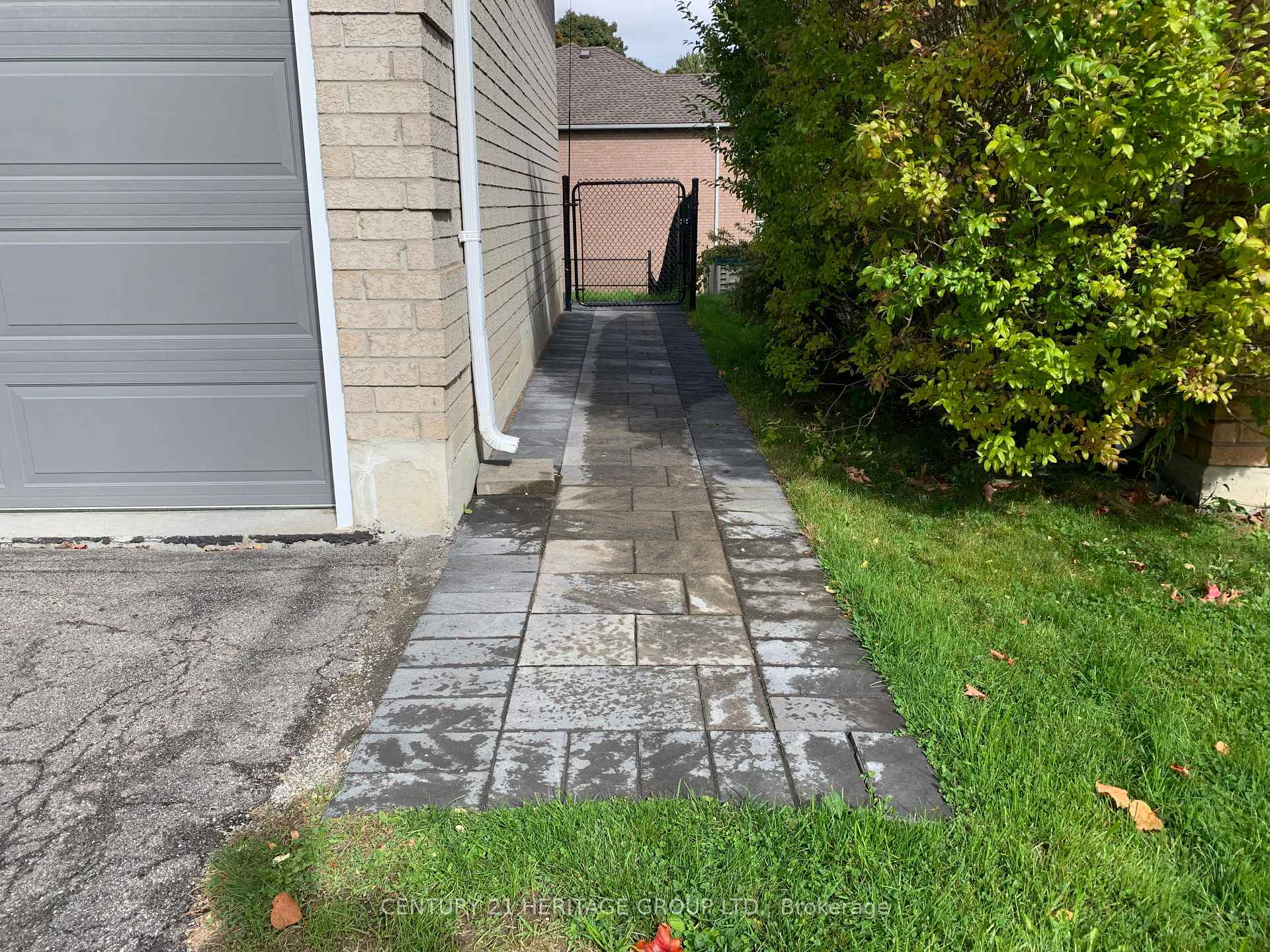Walk-Out Baseme - 337 Carruthers Avenue Newmarket Ontario Canada Rent residential Toronto Best Houses Century 21 Heritage Group Ltd. Brokerage*
