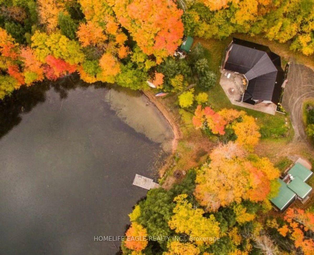 1092 South Clear Lake Road Bracebridge Ontario Canada Sale residential   HomeLife Eagle Realty Inc, Brokerage *
