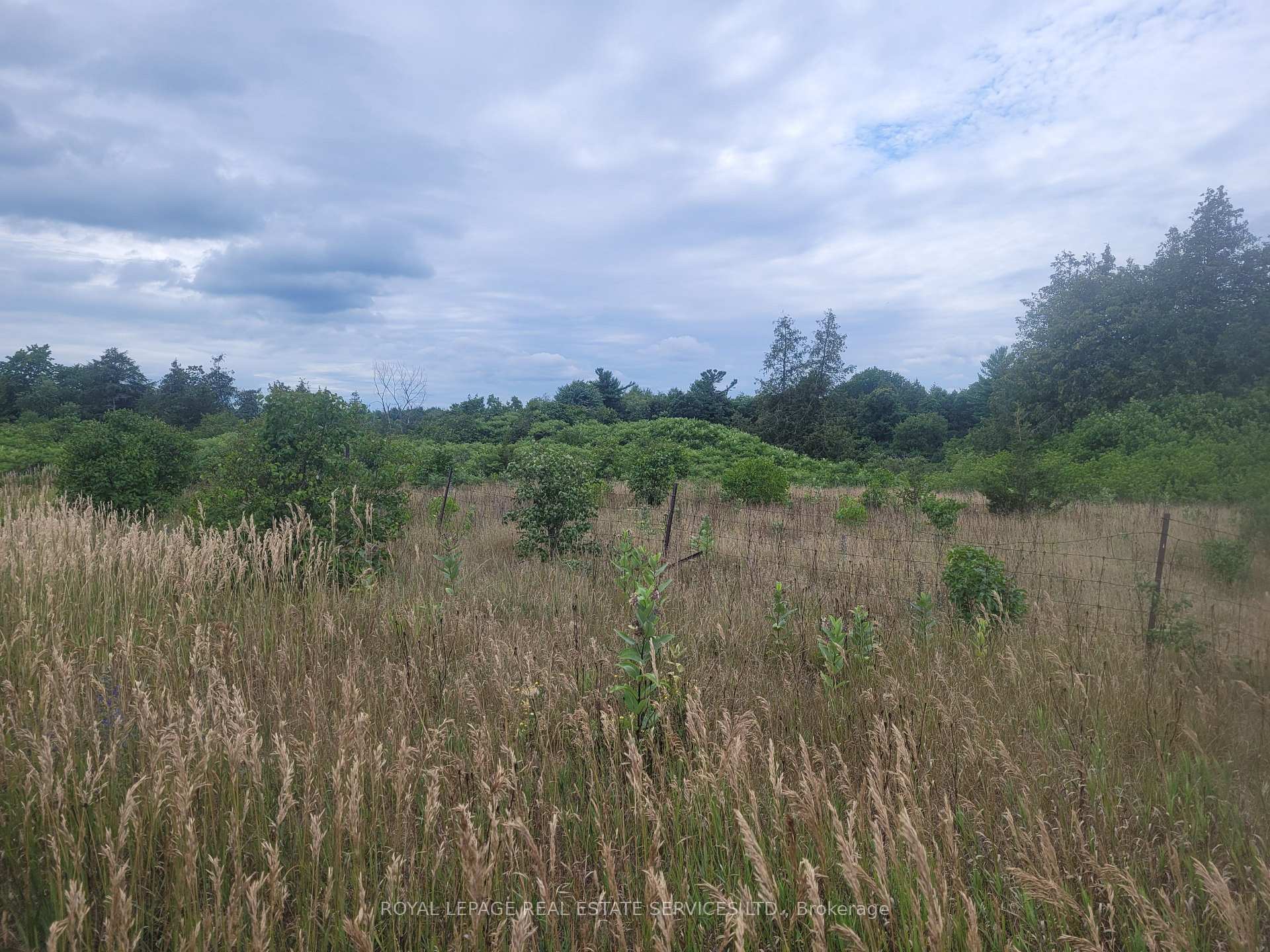 Lt 27 Pt 2 County Rd 10 Prince Edward County Ontario Canada Sale residential Sur Real Estate Group * ROYAL LEPAGE REAL ESTATE SERVICES LTD. Brokerage*