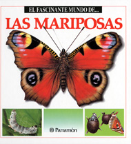Portada de Las mariposas