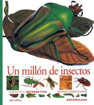 Portada de Un millón de insectos