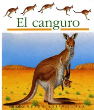 Portada de El canguro
