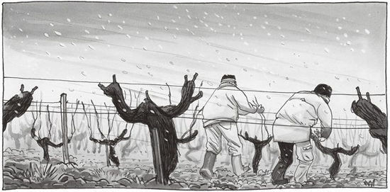Ilustración de Los ignorantes