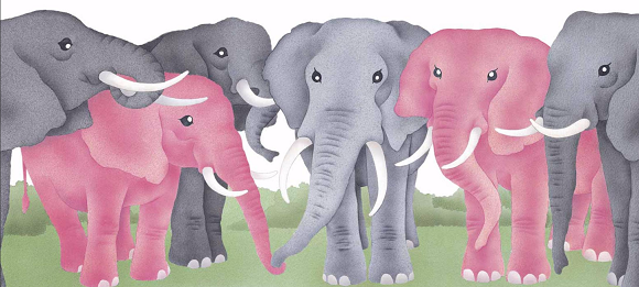 Ilustración de Rosa caramelo