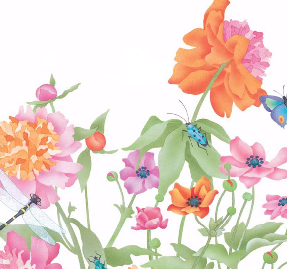 Ilustración de Rosa caramelo