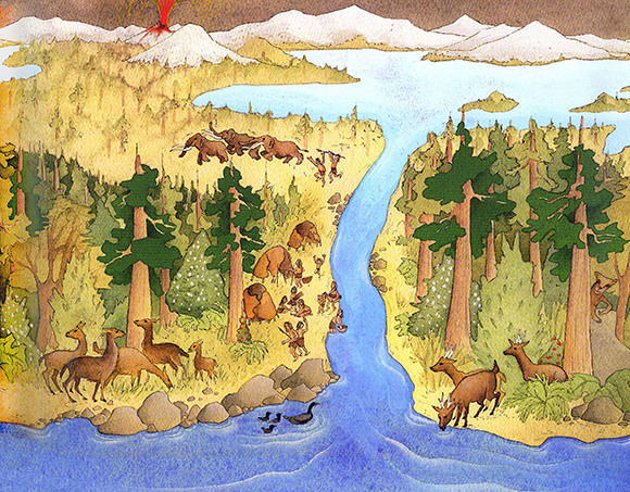 Ilustración de El alerce. Gigante milenario