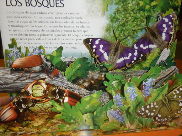Ilustración de Bichos